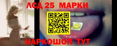 спайс Коммунар
