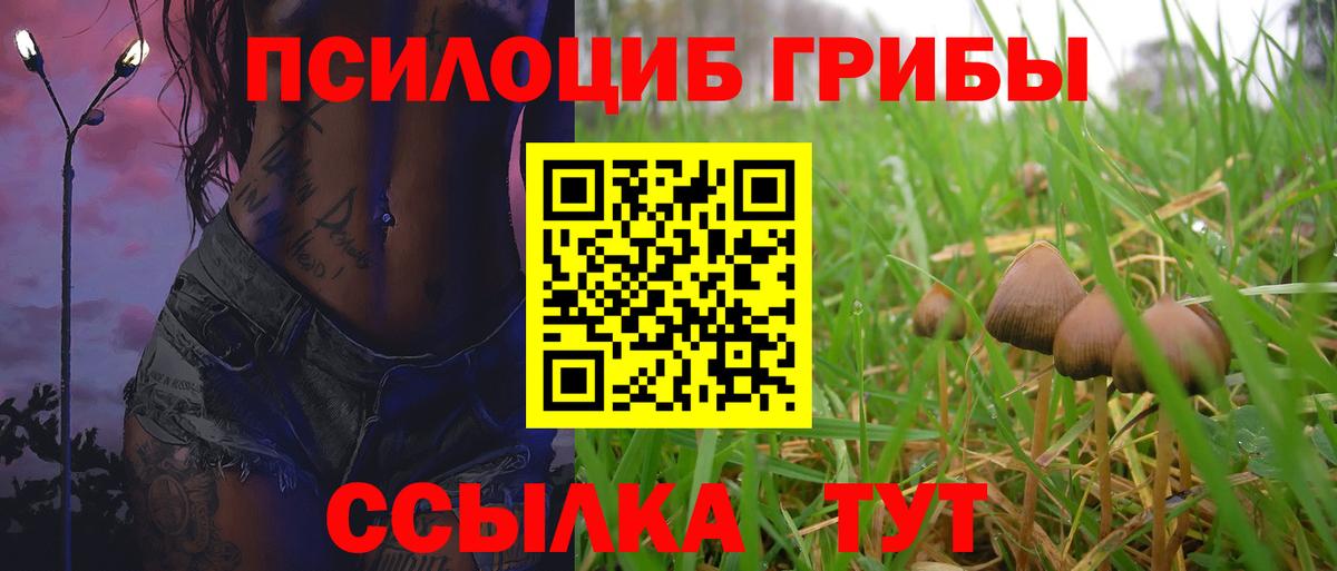 Галлюциногенные грибы Psilocybe Клин