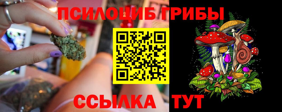 Псилоцибиновые грибы Magic Shrooms  Вход с VPN  Клин 
